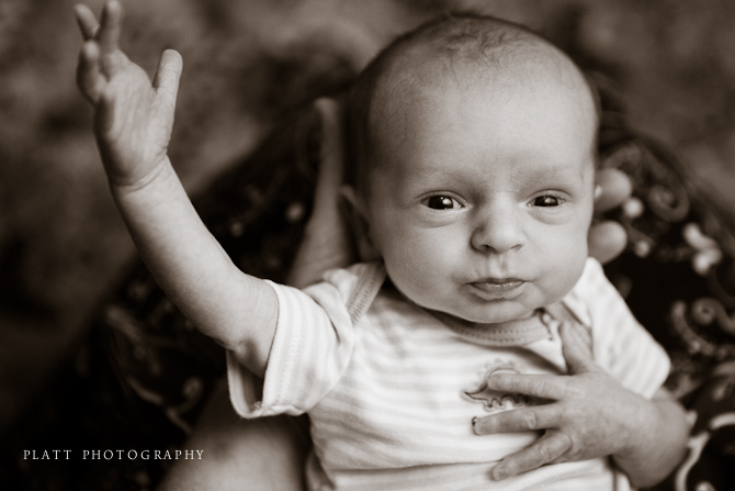  Infant portraits by Jared Platt