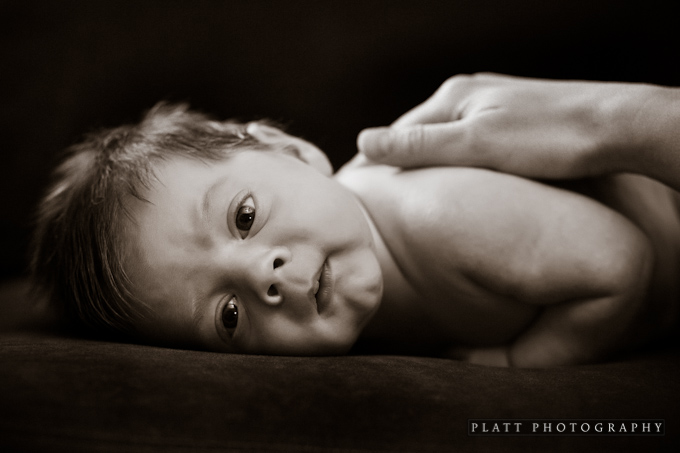Infant Portrait in Scottsdale Arizona