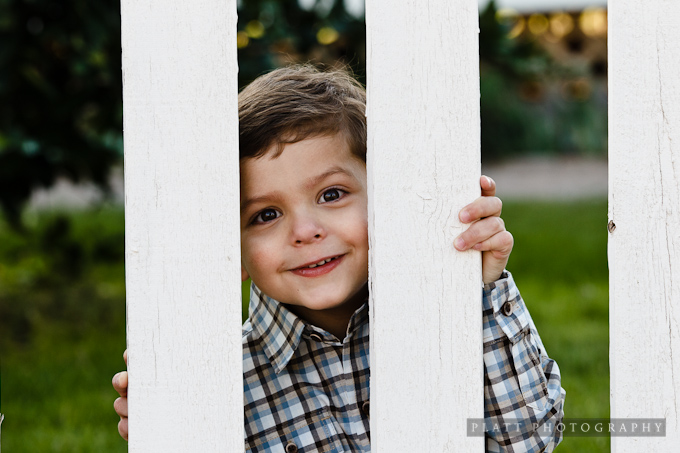 The Basha Family: A Family Portrait Session in Chandler Arizona - Jared ...