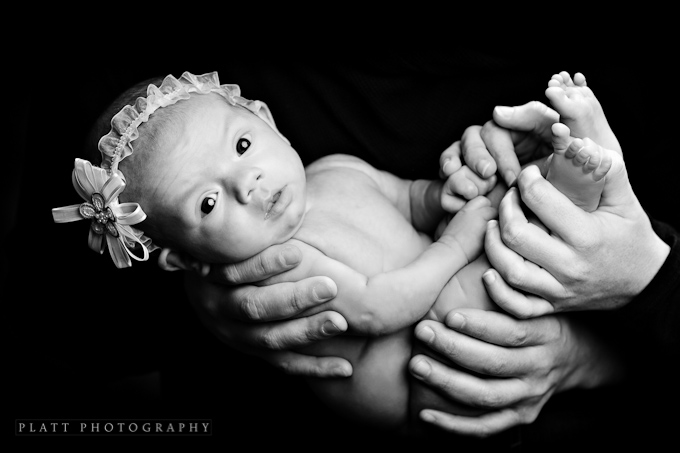 Infant girl portraits by Jared Platt (7)