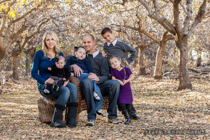 Family portraits in a grove of trees in gilbert arizona (1)