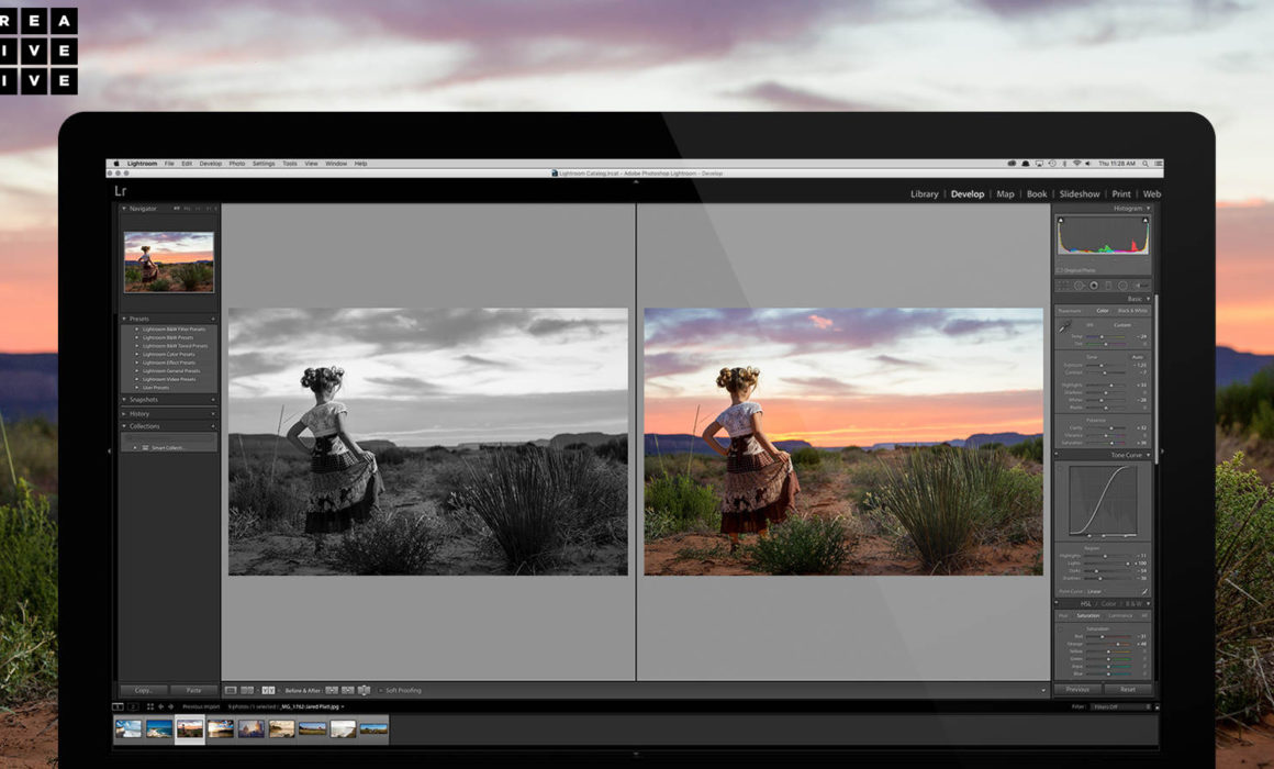 Lightroom for Beginners cover image of develop module