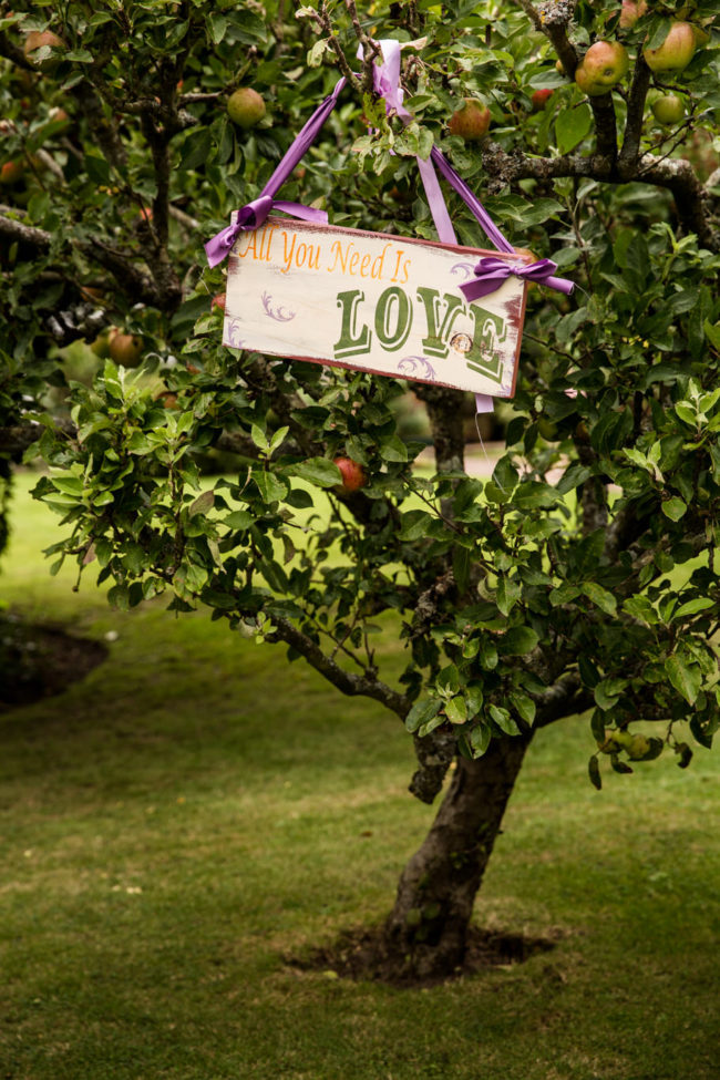 Wedding decor.  All you need is love sign on tree.